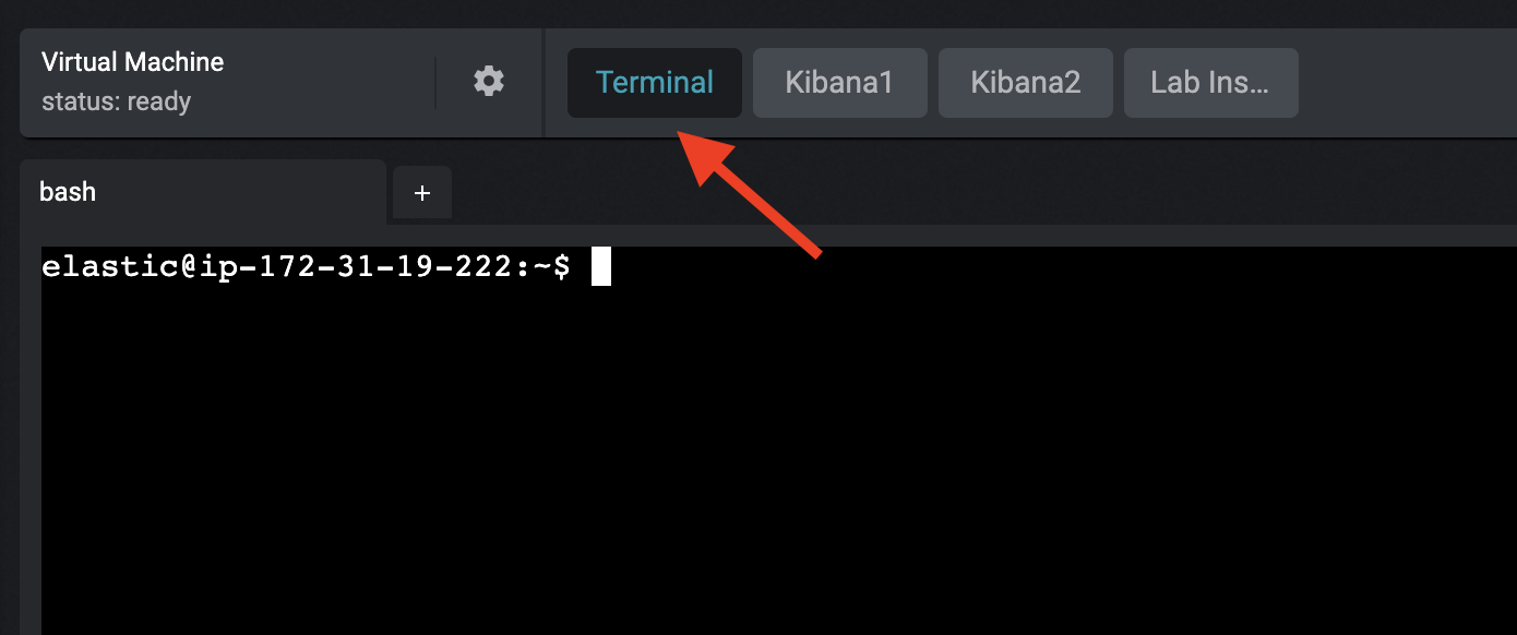 "Click Terminal button"